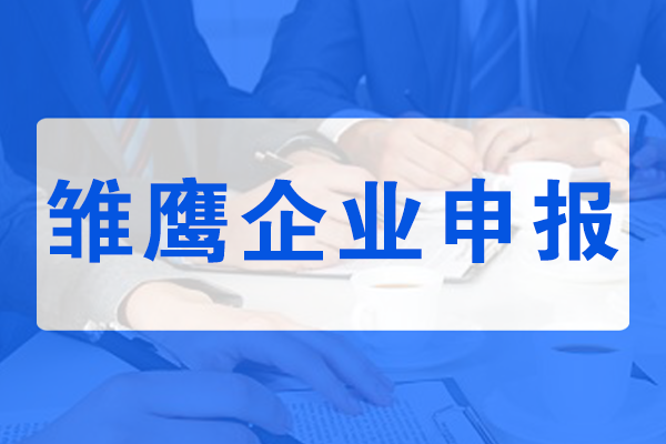 雛鷹企業申報